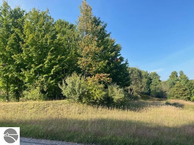 Property Photo: 0 Morning Glory Lane MI 49684