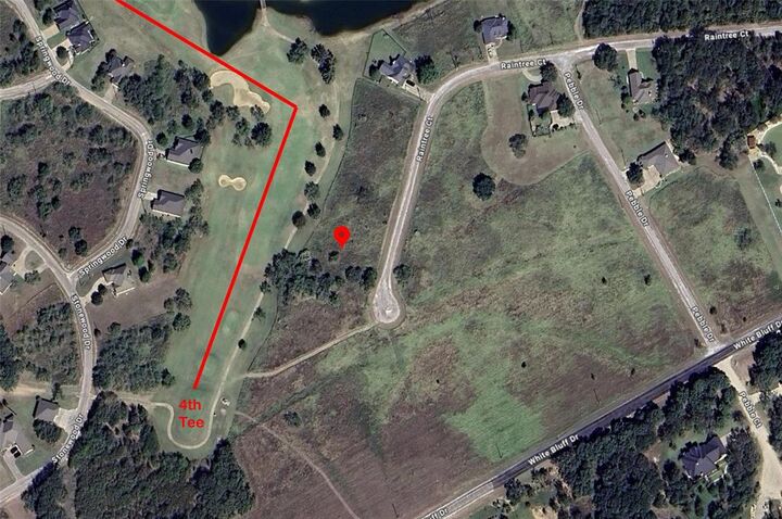 Property Photo:  22026 Raintree Court  TX 76692 