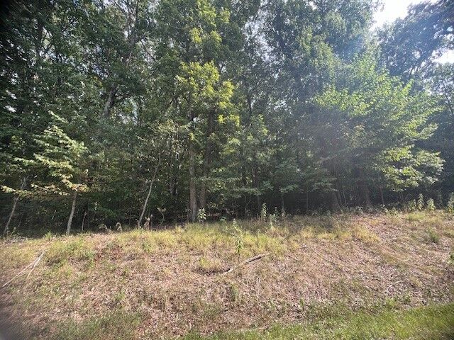 11 Tempest Lane  Holiday Island AR 72631 photo