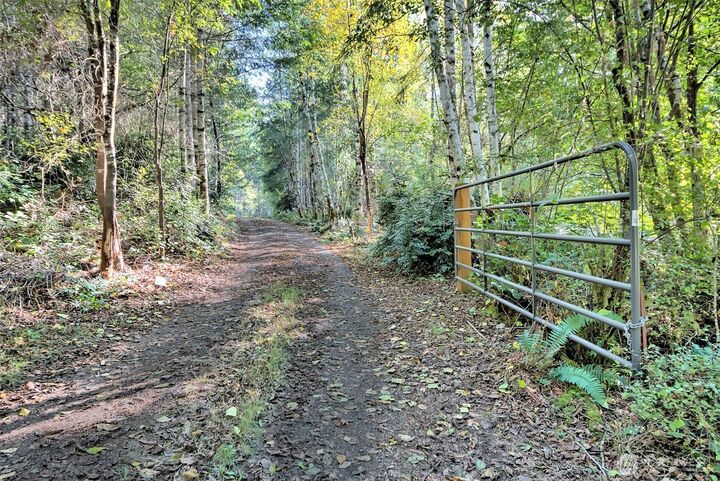 Property Photo: 241 E Ritz Drive WA 98584