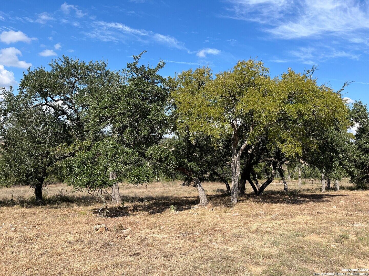 Property Photo:  1614 (Lot 1457) Beaujolais  TX 78132 