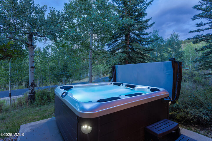Property Photo: 21 Pommel Place CO 81632