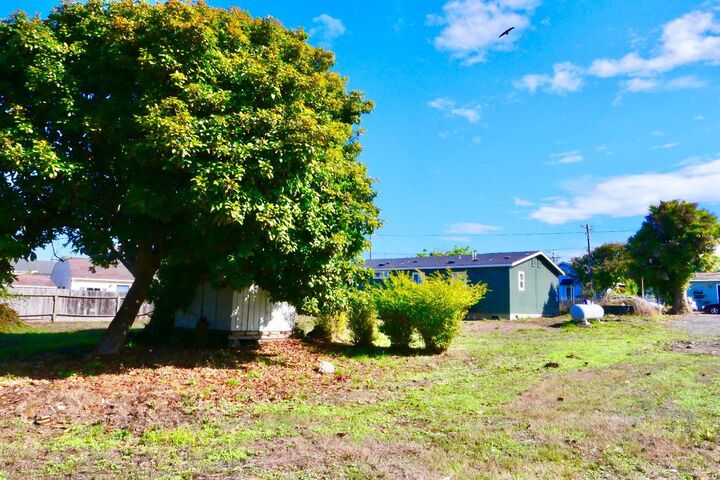 Property Photo:  575 S Whipple Street  CA 95437