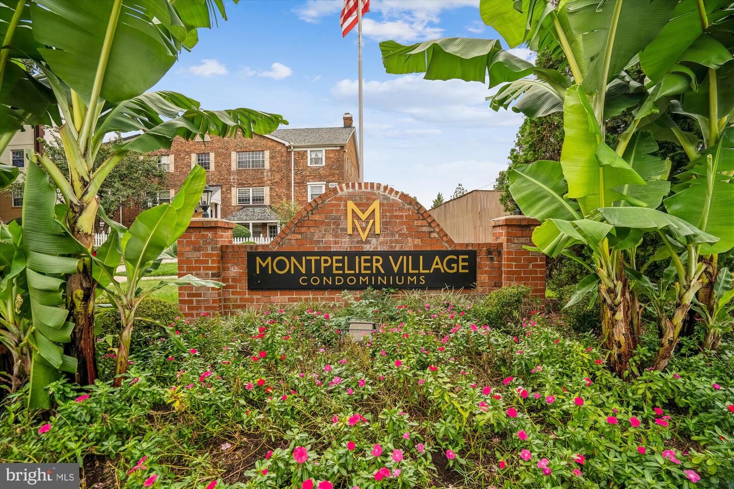 Property Photo: 4421 Romlon Street 1 MD 20705