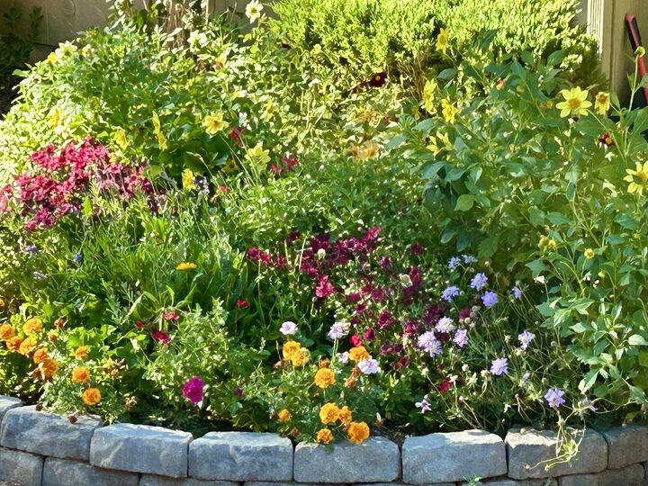 Property Photo:  912 W Madera Lane  AZ 85541 