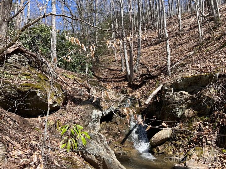 Off Sorrells Cove Road  Clyde NC 28721 photo