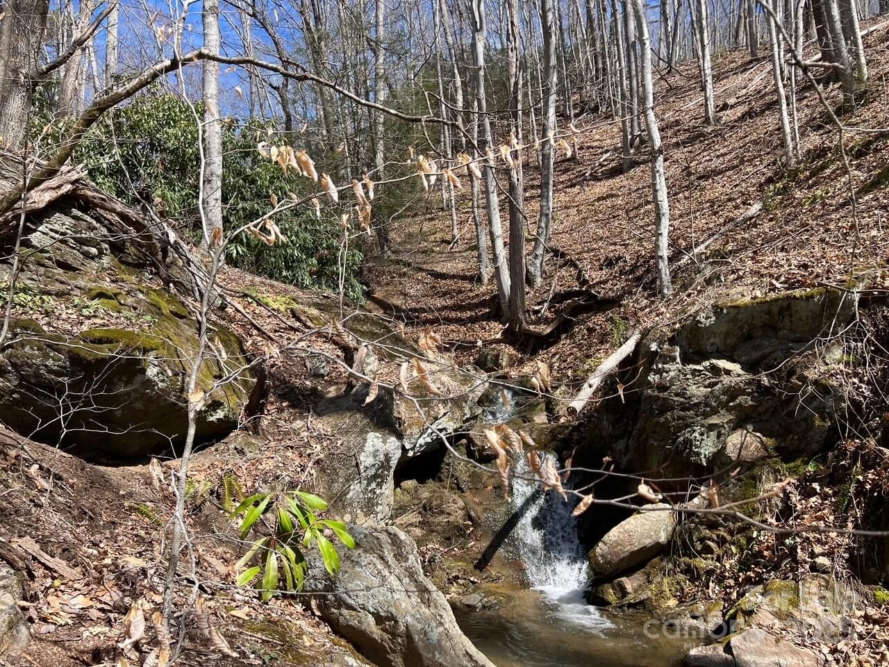 Property Photo: Off Sorrells Cove Road NC 28721