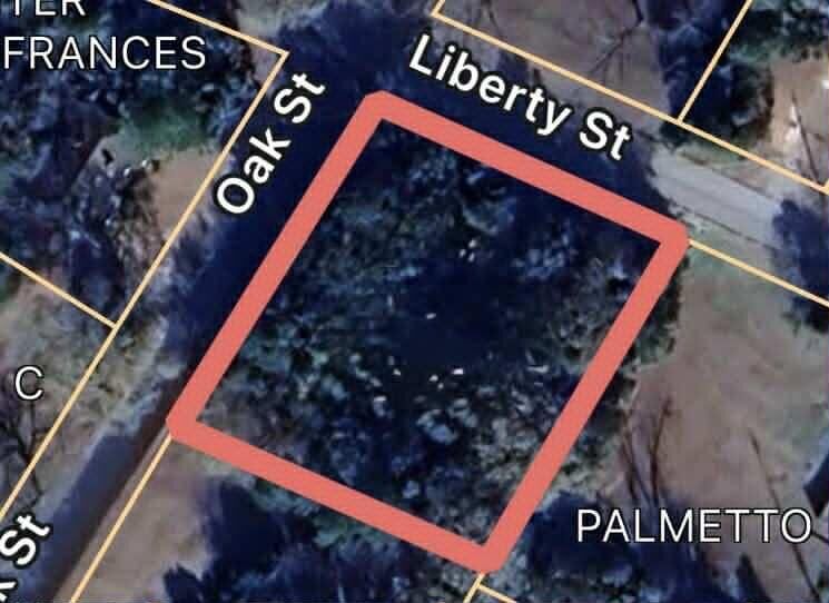 Property Photo: 1 Oak Street SC 29135