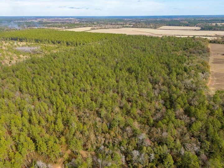 Property Photo: 0000 N Bob Brooks Road FL 32531