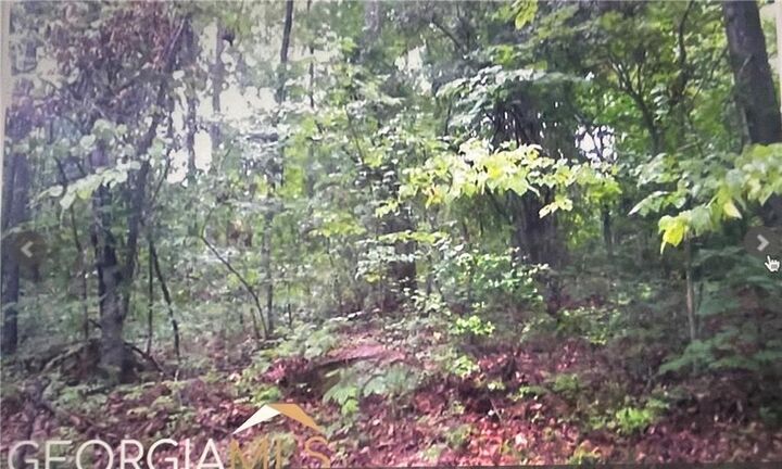 Property Photo: 0 Turtle Cove Throughway GA 31064