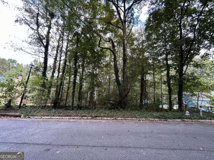 3291 Chesterfield Court  Snellville GA 30039 photo