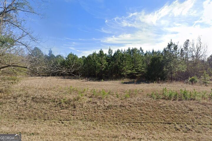 Property Photo: 239 Canton Road GA 31017