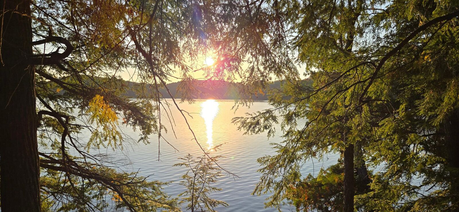 Property Photo:  Lot 4 Bartsch Rd  WI 54557 