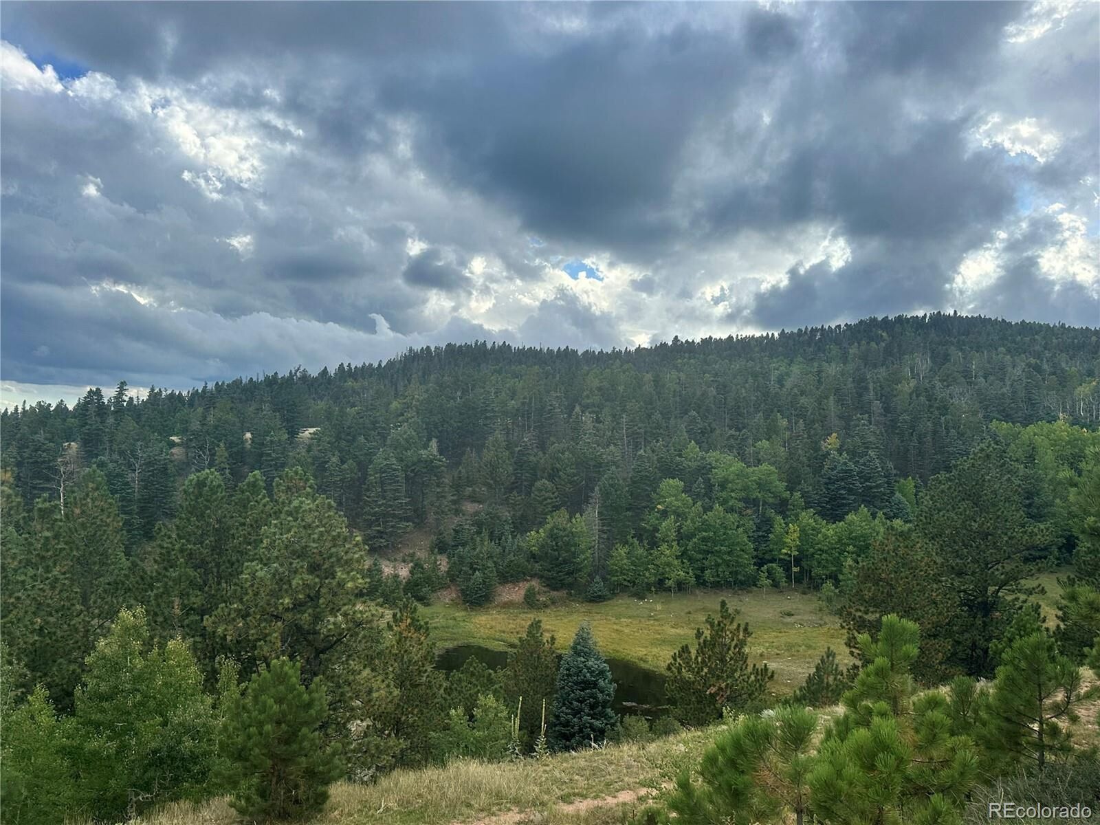 Property Photo:  9010 County Road 21.1  CO 81020 