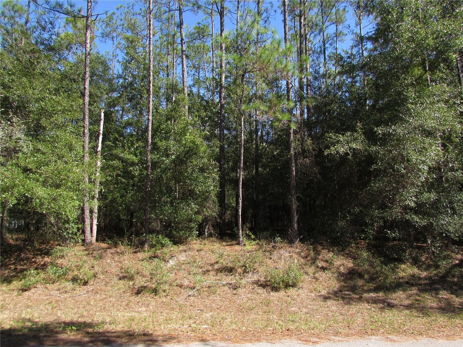 Property Photo:  Lot 13 SW 87th Loop  FL 34431