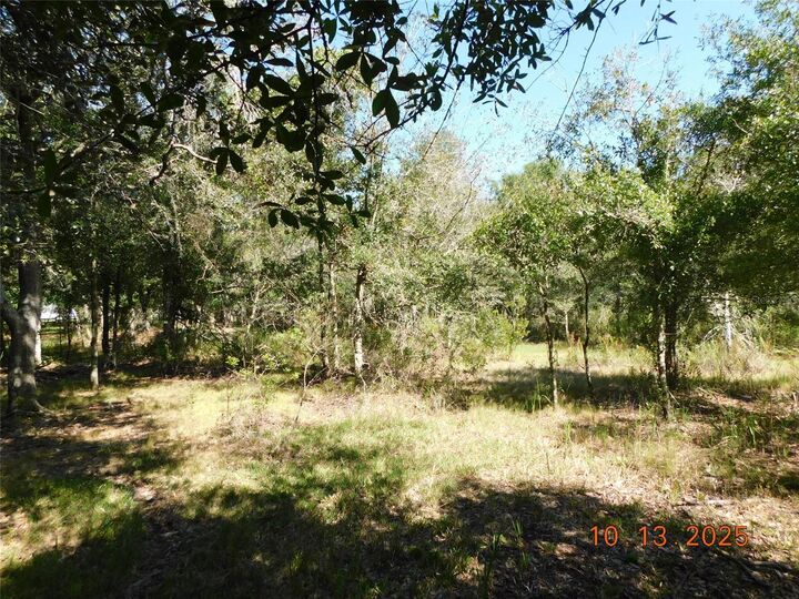Property Photo: 2221 NW Pine View Road FL 34266