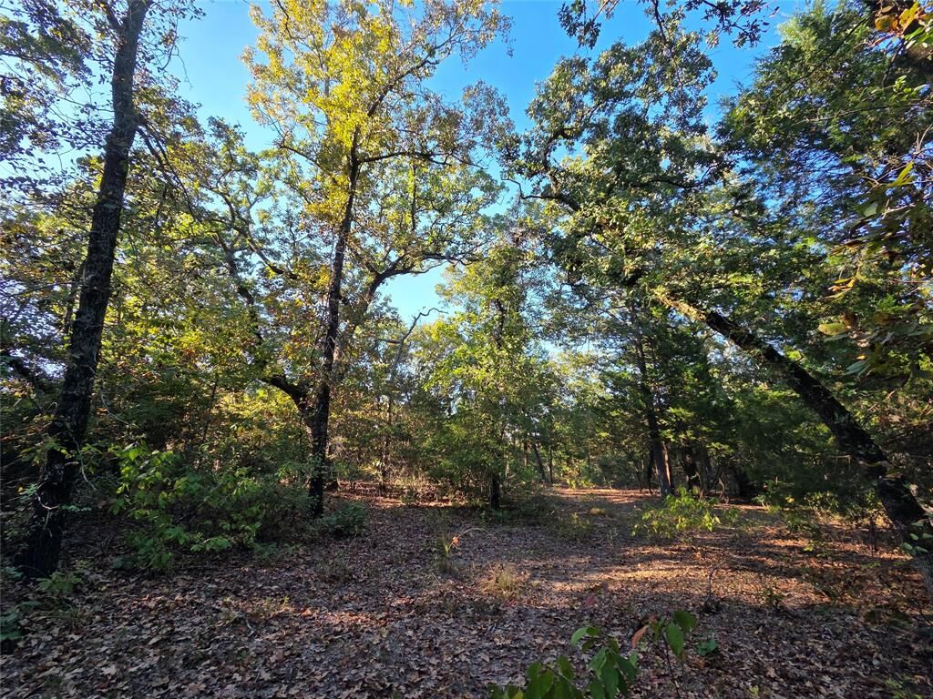 Property Photo:  Lot 466 Cr-4710  TX 75770