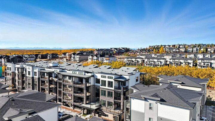 Property Photo:  2117 81 Street SW 2417  AB T3H 6H5 