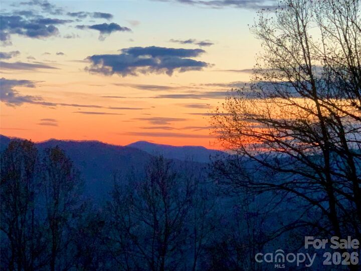 Property Photo:  199 Alpine Drive  NC 28749 