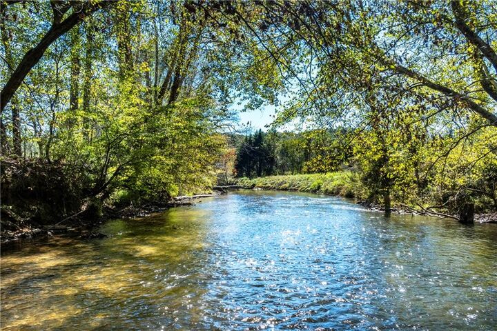 0 Ragweed Lane  Ellijay GA 30536 photo