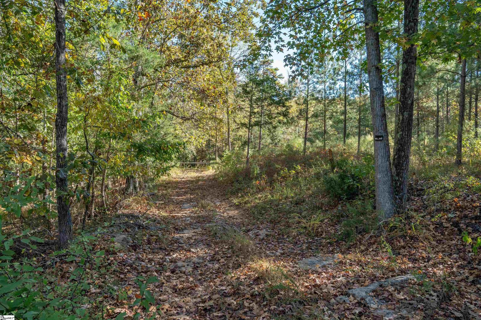 Property Photo: 735 Gwinn Mill Road SC 29374