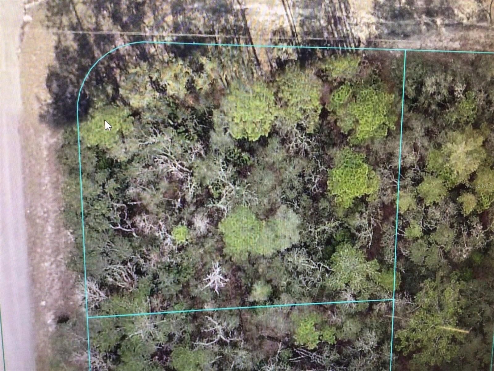 Property Photo: 0 SW 69 Court Road FL 34473