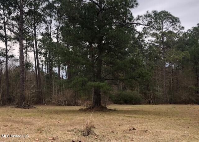 Property Photo: 15654 Walter Smith Road MS 39503