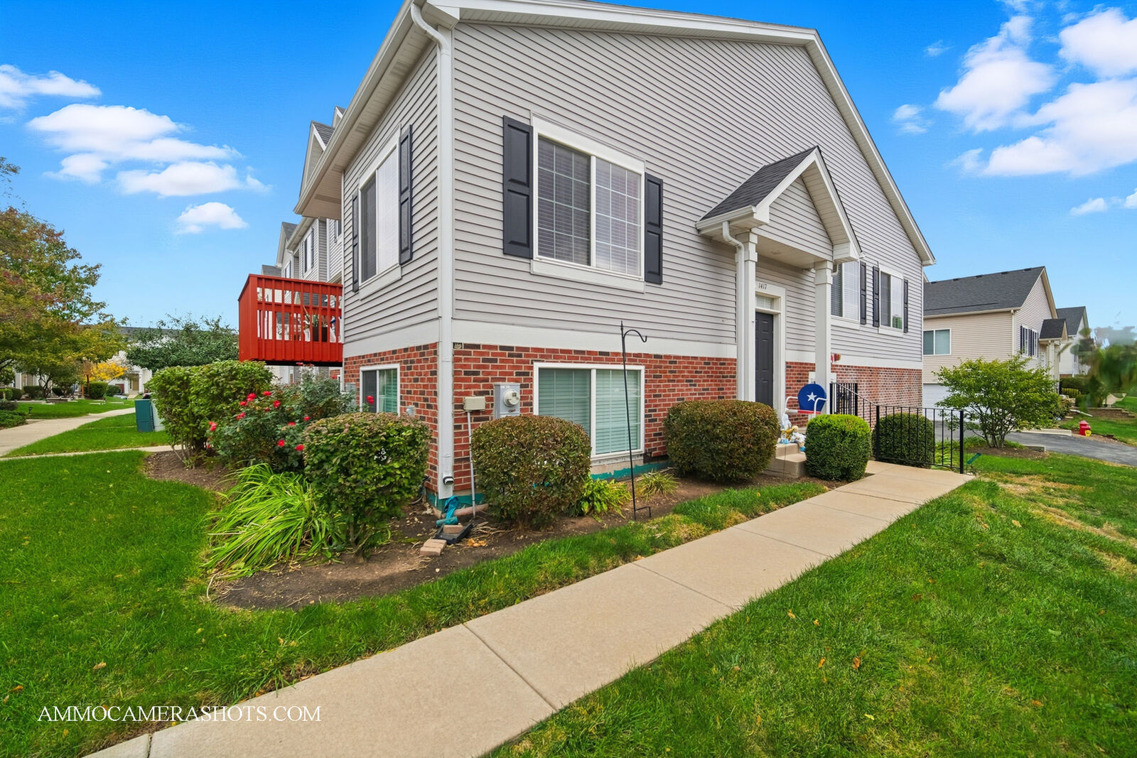Property Photo:  1417 Manning Avenue  IL 60538