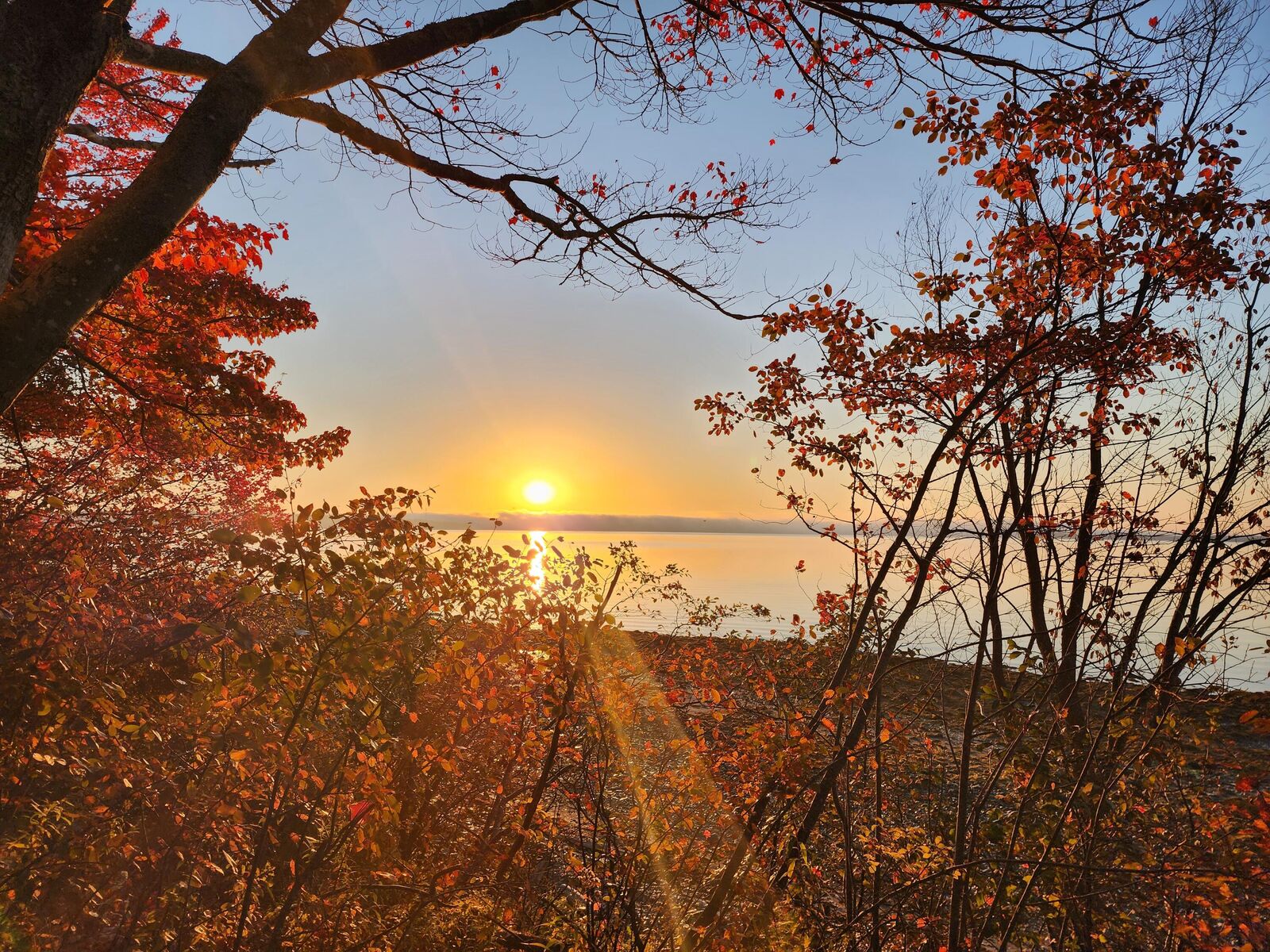 Property Photo:  268 W Main Street  ME 04974 