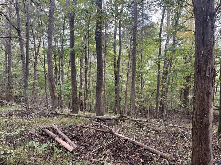 Property Photo: 3220 N Hinton Rd TN 37043