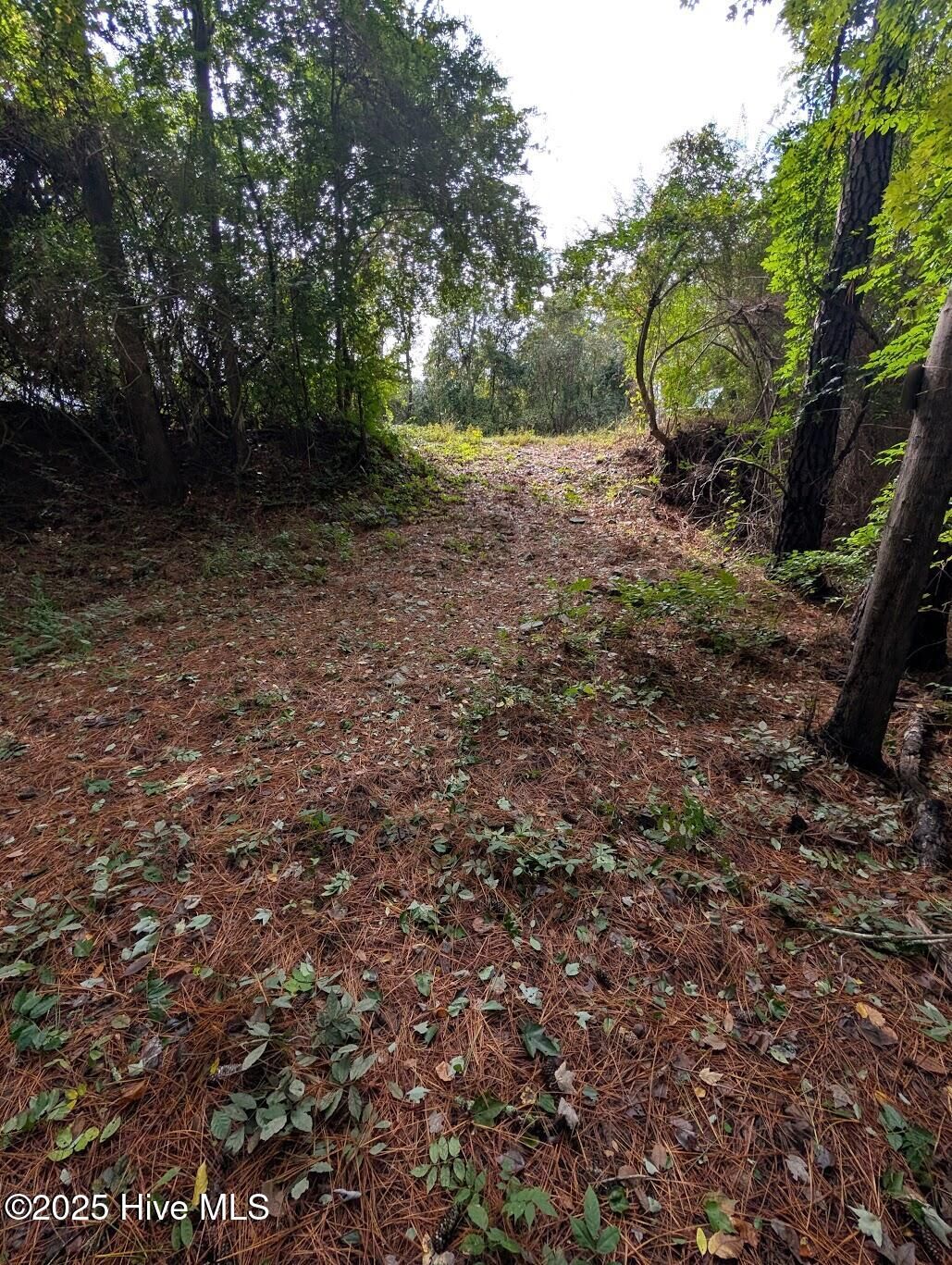 Property Photo:  00 State Road 1300  NC 28585