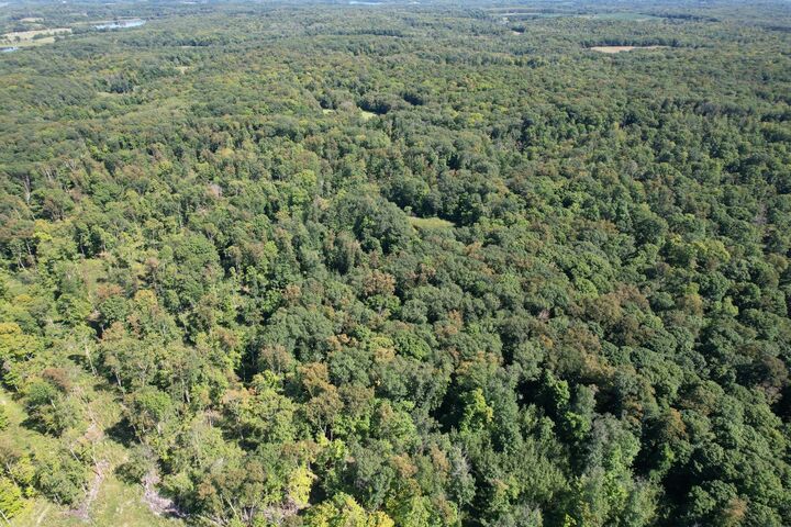 Tbd 485th Street  Vergas MN 56587 photo