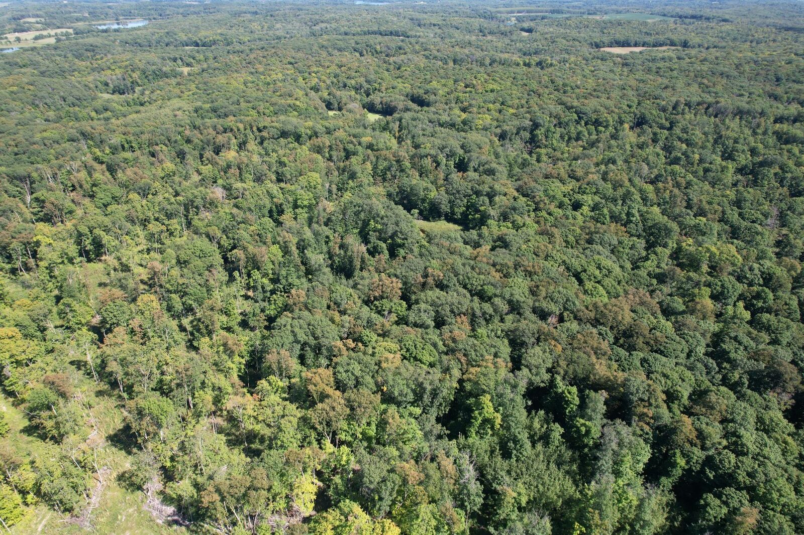 Property Photo: Tbd 485th Street MN 56587