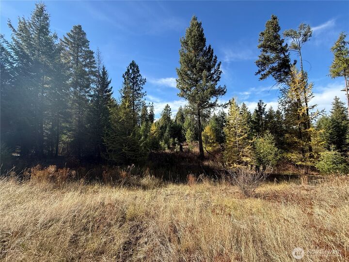 Property Photo: 9999 Shade Tree Lane WA 99166
