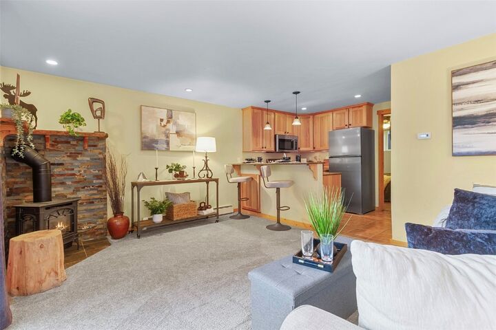 361 Salt Lick Circle 361  Silverthorne CO 80498 photo
