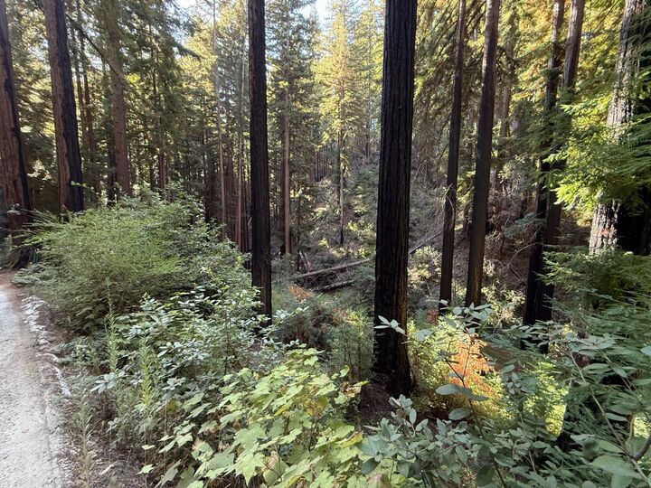 Property Photo: 449 Band Road CA 95006