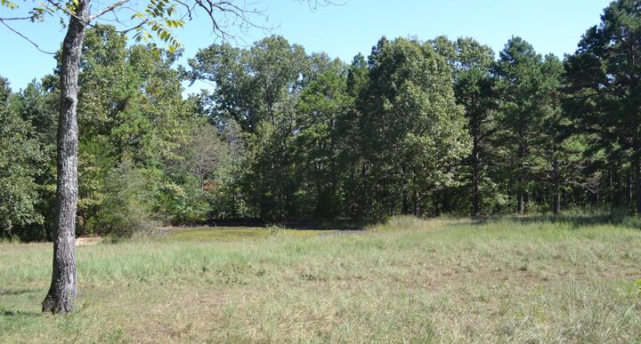 Property Photo:  000 000   Hwy 14  MO 65608 