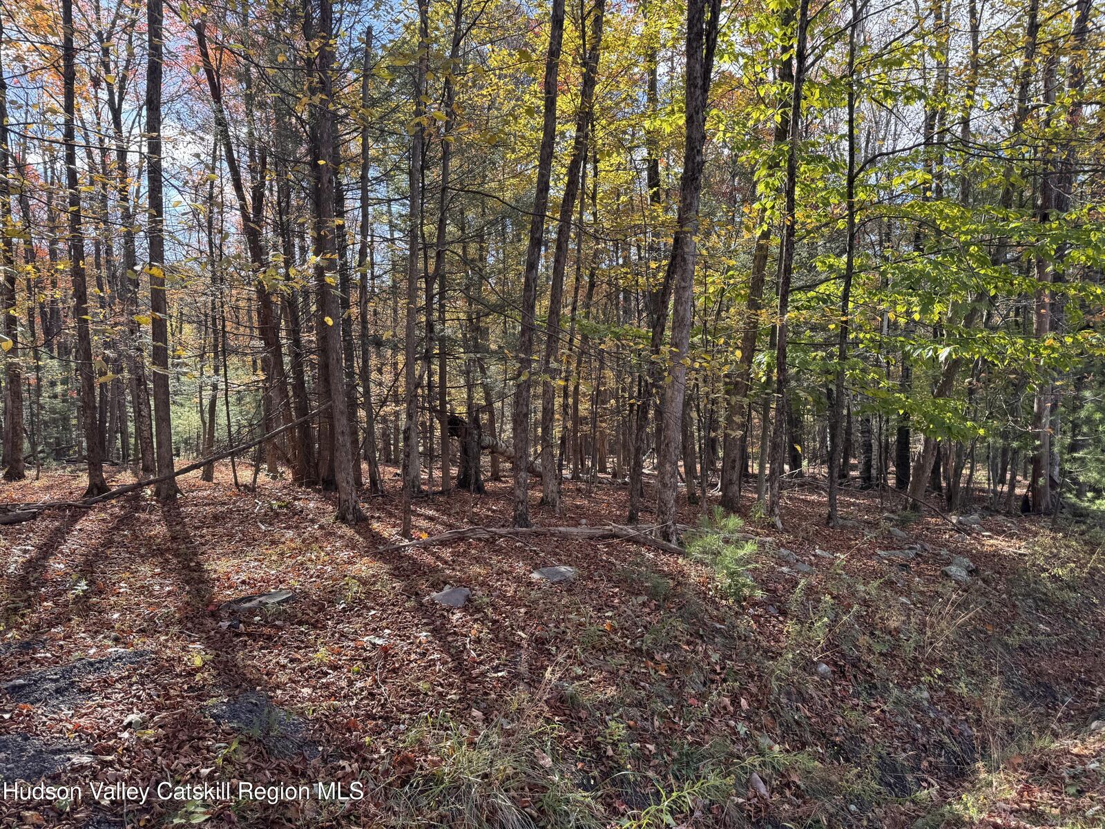 Property Photo: Tbd Cross Patch NY 12495