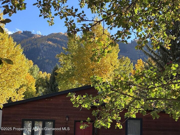 Property Photo:  227 Cottonwood Lane  CO 81611