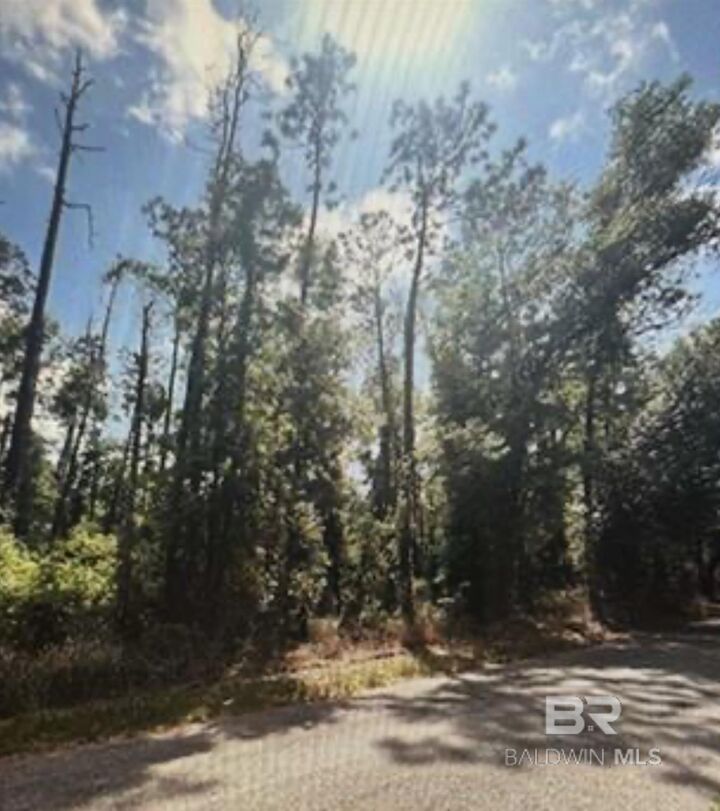 Property Photo:  0 W Woodhaven Dairy Road  AL 36576 