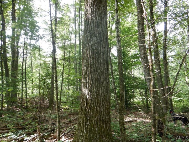 Property Photo: Bull Hill Road NY 14867