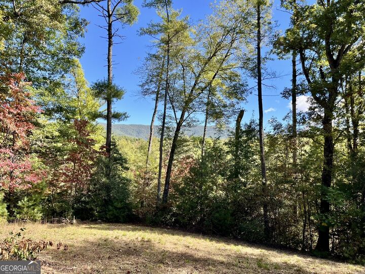 Property Photo: 12.64 Ac Harrison Sluder Road GA 30540