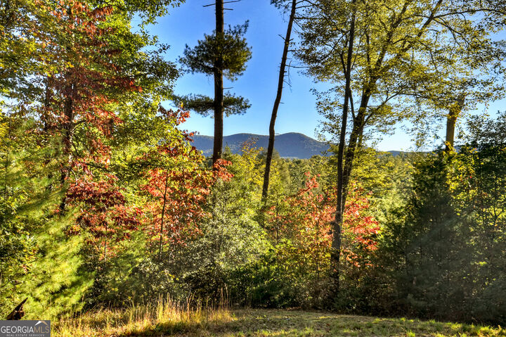 Property Photo:  12.64 Ac Harrison Sluder Road  GA 30540 