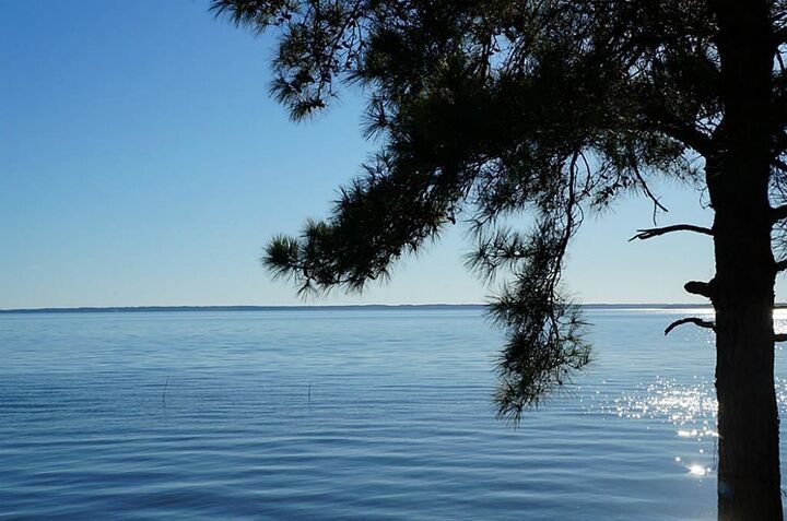 Property Photo: Tbd Bridgelanding---Lot 57 TX 77360