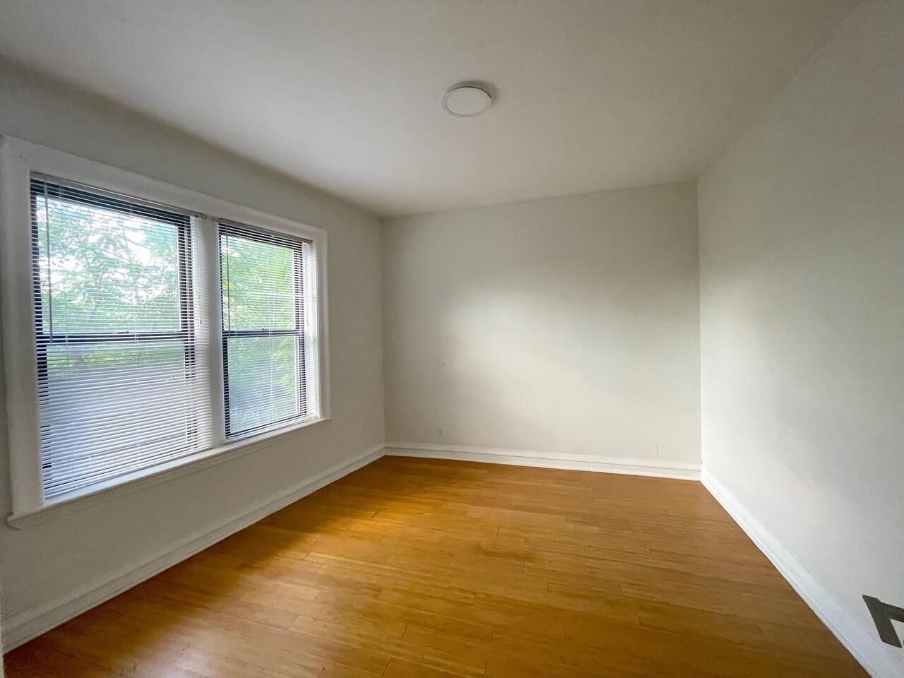 Property Photo:  57 Corbin Ave 4  NJ 07306 
