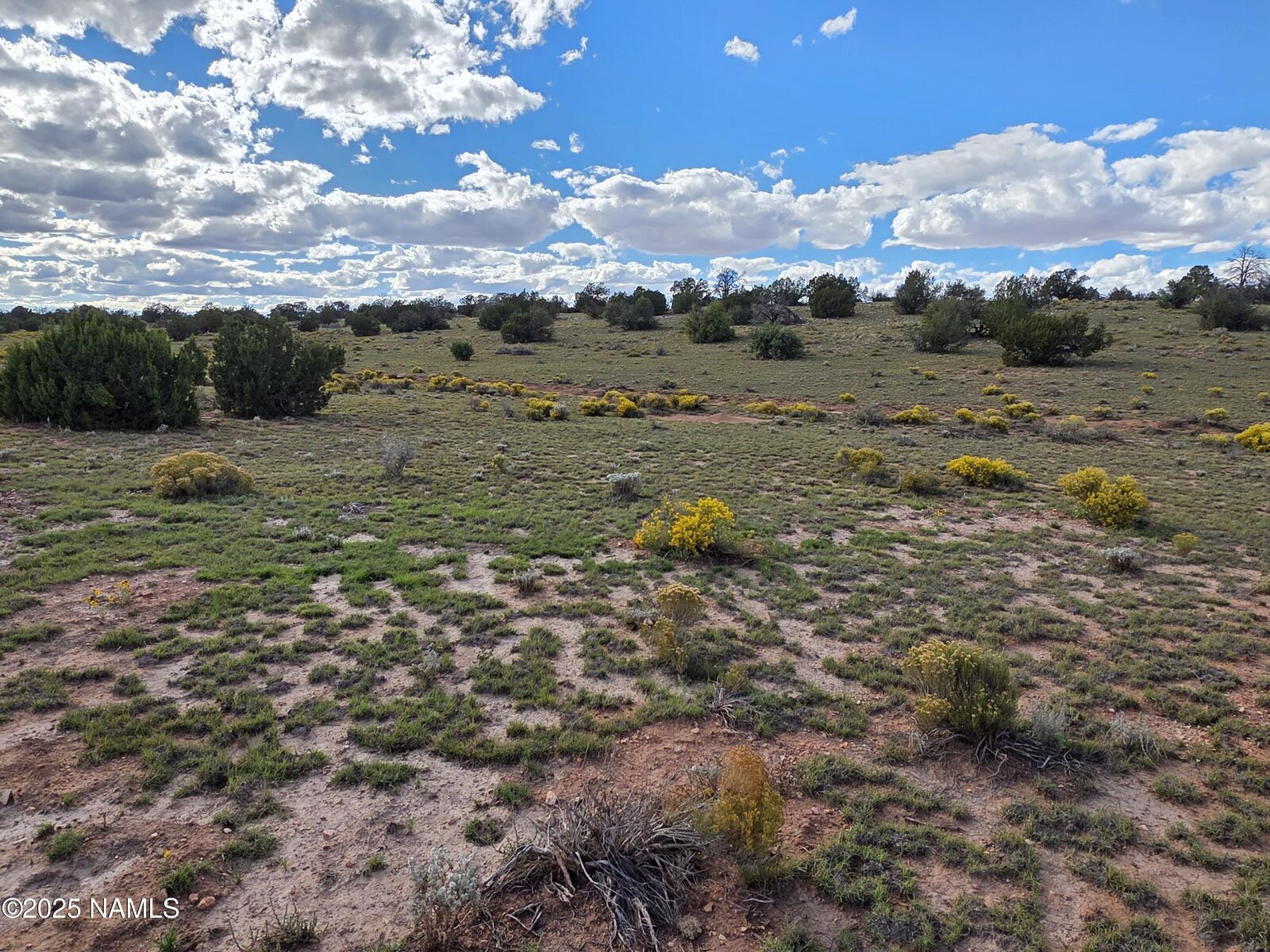 Property Photo:  6154 Fire Sky Trl Lot C  AZ 86046 