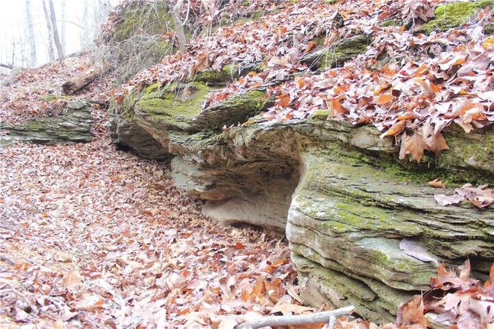 Property Photo:  Brooks Road  AR 72756 