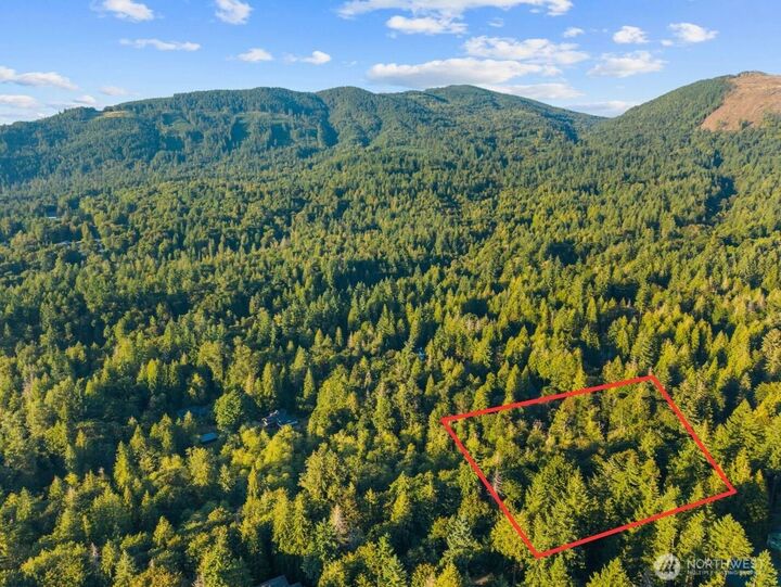 Property Photo: 245 Xx SE 146th Street WA 98027