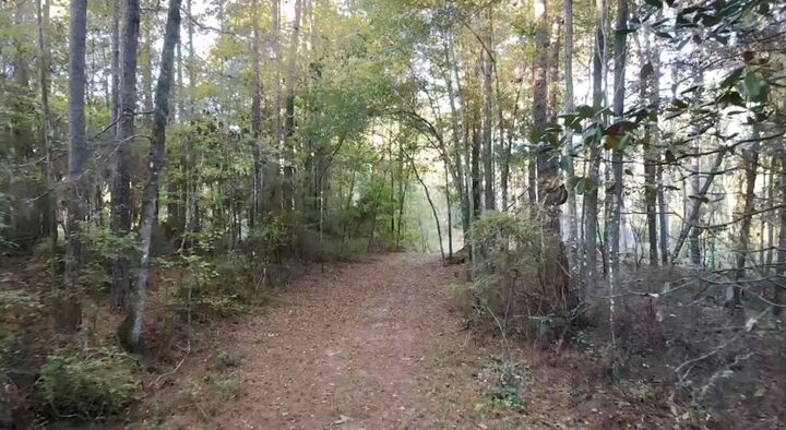 Property Photo:  00 Collins Road  GA 39828 
