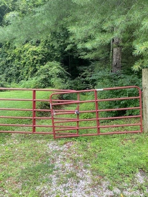 Property Photo:  0 Old Wiley Branch Road  KY 41254 